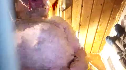 Snapshot of hung34u chatting on 01.08.26 hung34u online show from 01.08.26