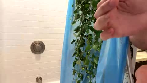 hung_and_horny1005 online show from 11.24.25