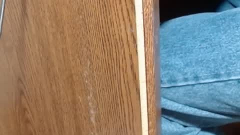 hungsofine online show from 01.08.25