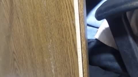 hungsofine online show from 01.13.25