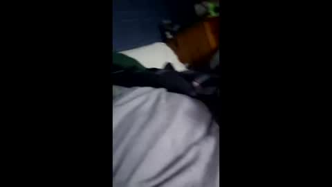 hunk1987_ online show from 04.12.26