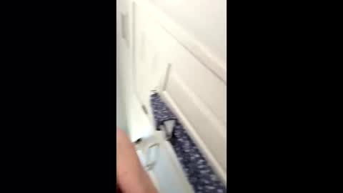 Snapshot of huskey300 chatting on 01.09.26 huskey300 online show from 01.09.26