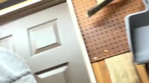 Snapshot of huskey300 chatting on 02.04.26 huskey300 online show from 02.04.26