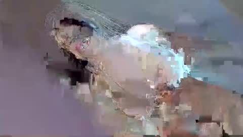 Snapshot of i_love_eula chatting on 09.12.25 cant get you out of my head online show from 09.12.25