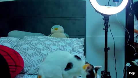 iam_your_fantasy online show from 01.12.26