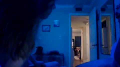 Goat  Lulu  Elektra online show from 02.14.25