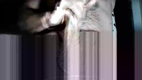 Pat online show from 03.11.26