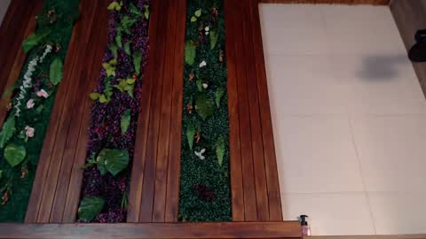 Ian Davis online show from 03.04.25