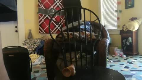 idksohorny online show from 12.20.24