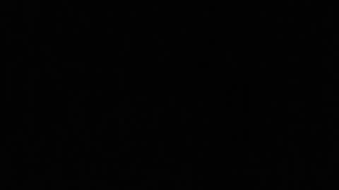 idksohorny online show from 02.15.25