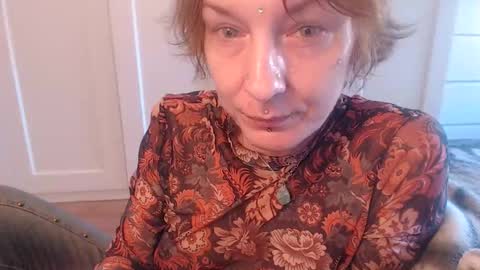 Ifk Donkeys online show from 11.07.25