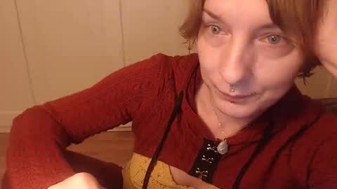 Ifk Donkeys online show from 11.07.25