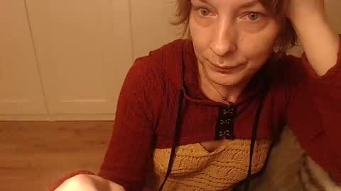 Ifk Donkeys online show from 11.08.25