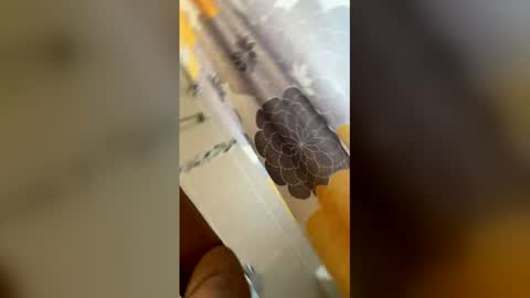 ikaikagora00 online show from 03.05.26