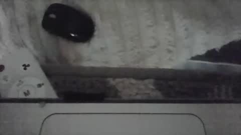 iloveitall86 online show from 04.19.26