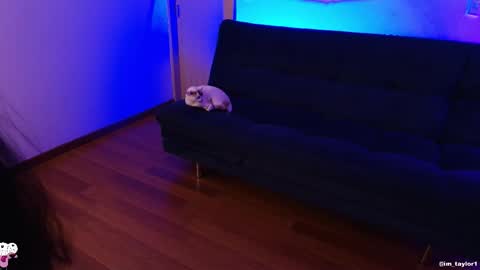 Snapshot of imtaylor__ chatting on 10.24.25 TAYLOR online show from 10.24.25