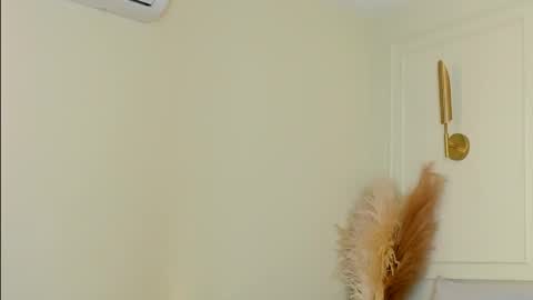 Snapshot of imvictoria_ chatting on 11.29.25 imvictoria_ online show from 11.29.25