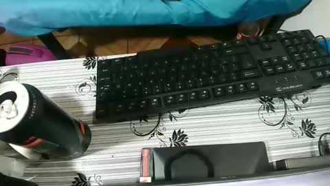 Candy cat online show from 10.23.25