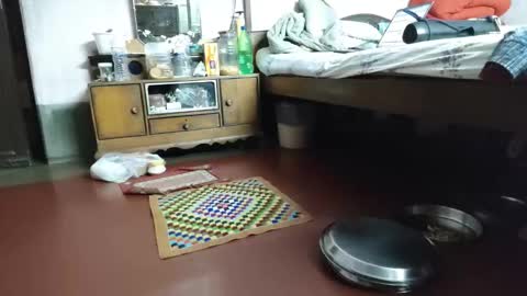 BOREDILDO online show from 03.12.26