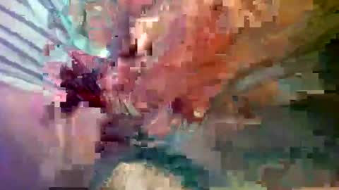 ipuck55 online show from 12.14.24