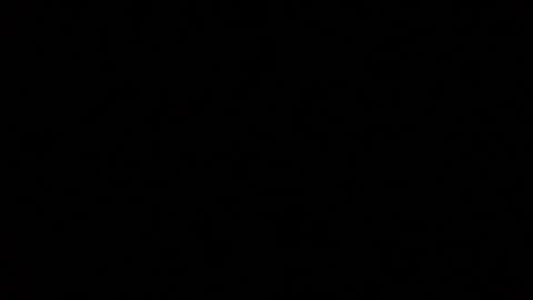 iridisit online show from 01.12.26