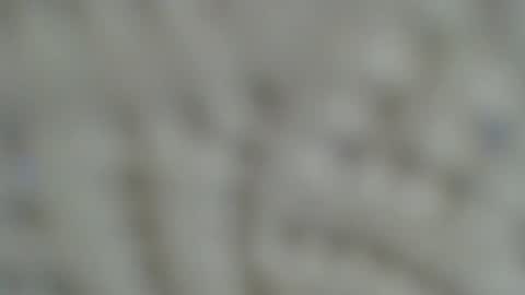 Irishdude2483 online show from 01.15.25