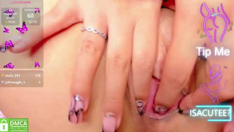 ISA online show from 03.11.25