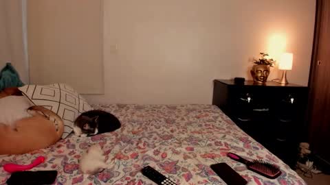 Isa online show from 10.31.25