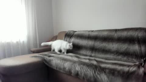 Issabelle online show from 02.09.25