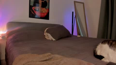 Isabella online show from 04.05.26