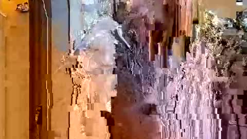 Snapshot of itsfoxie chatting on 01.18.26 ItsFoxie online show from 01.18.26