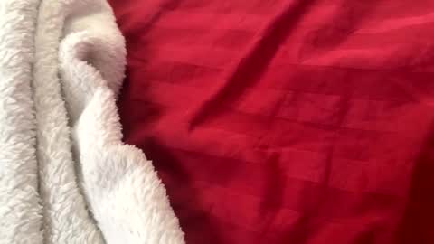 Snapshot of itsjayyourbae chatting on 11.22.25 itsjayyourbae online show from 11.22.25