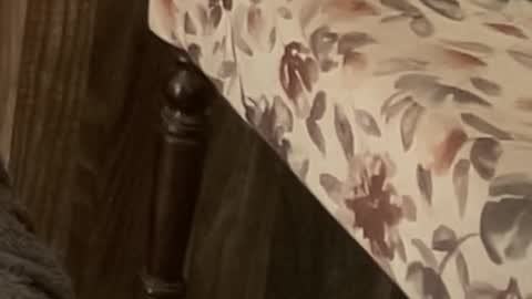 Raje online show from 11.11.25