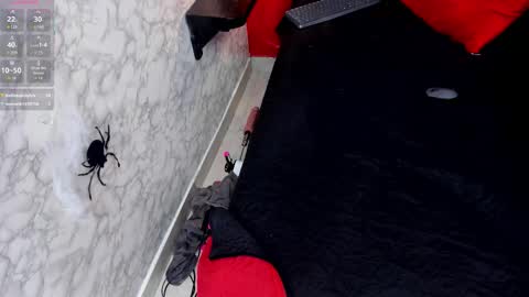 Ivis  online show from 10.25.25