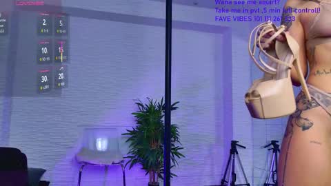 Celine online show from 11.30.25