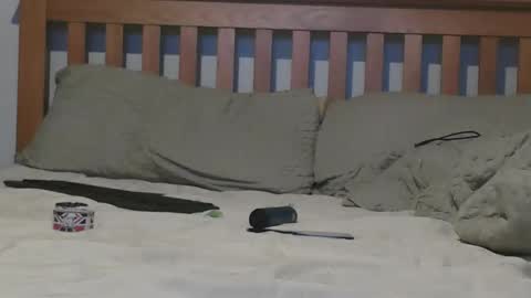 Big 8 online show from 11.04.25