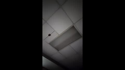 wonderbread online show from 01.14.26