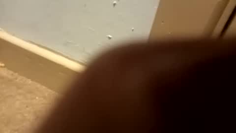 Snapshot of j434934 chatting on 01.05.26 j434934 online show from 01.05.26