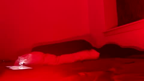 j4ckoff online show from 11.22.25