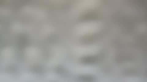 Snapshot of j727551 chatting on 02.15.25 j727551 online show from 02.15.25