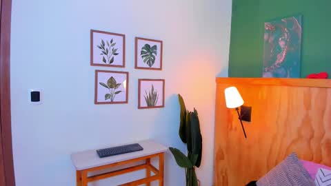 David online show from 11.19.25