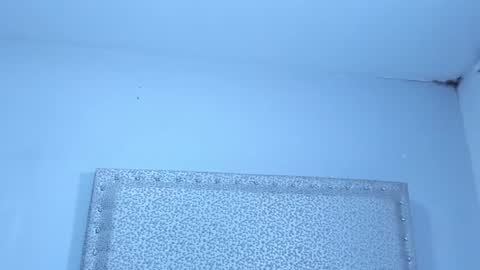 Snapshot of jackblanco_ chatting on 01.25.25 Jack White online show from 01.25.25