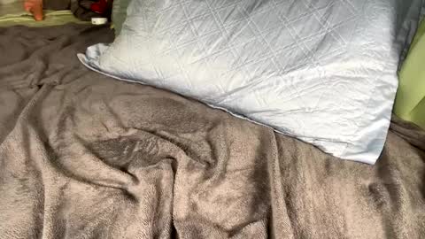 Snapshot of jacksbunnys chatting on 01.14.25 jacksbunnys online show from 01.14.25