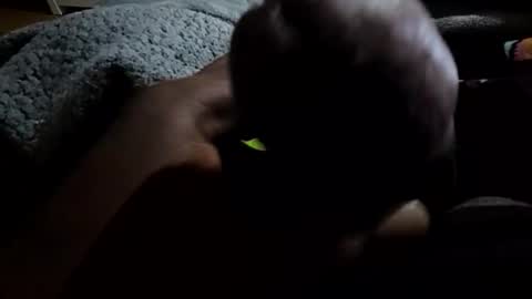 jackwiskyhoney online show from 01.19.26