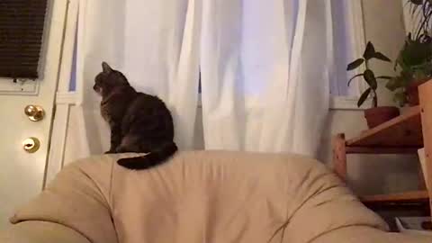 Snapshot of jacobmotes chatting on 10.19.25 Jacob online show from 10.19.25