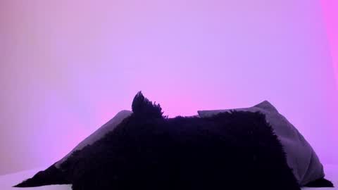 Snapshot of jade_james chatting on 12.20.24 Mady online show from 12.20.24