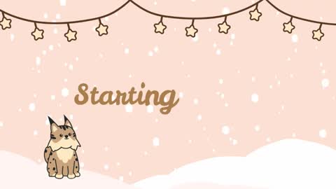 Snapshot of jadedfemboy chatting on 12.01.24 Jaden Lynx online show from 12.01.24