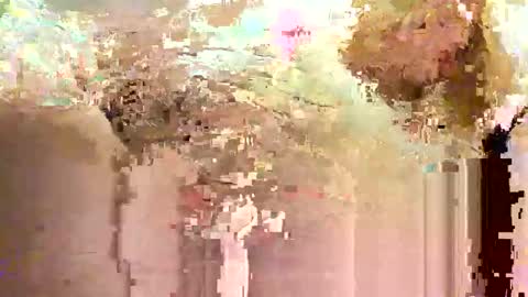 Snapshot of jadedmoshier chatting on 11.28.25 jadedmoshier online show from 11.28.25