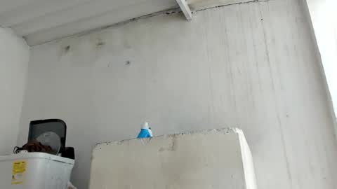 Snapshot of jadesmiith1 chatting on 10.24.25 Jade Smith online show from 10.24.25