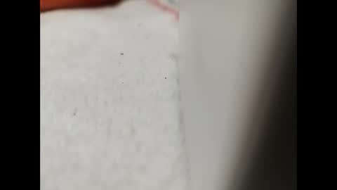 Snapshot of jaimescook chatting on 01.26.25 james online show from 01.26.25